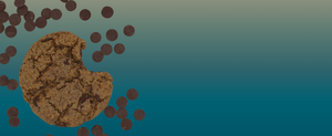 Ananas bakery gluten-free cookies